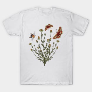 Botanical illustration of chamomile, butterfly and bumblebee plants T-Shirt